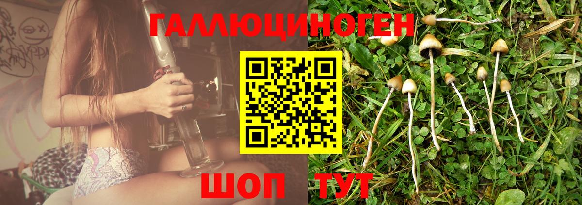 Смоленск  Галлюциногенные грибы MAGIC MUSHROOMS  Вход с VPN 